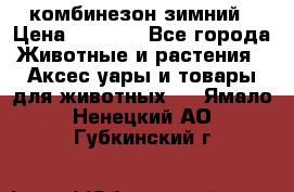 комбинезон зимний › Цена ­ 1 300 - Все города Животные и растения » Аксесcуары и товары для животных   . Ямало-Ненецкий АО,Губкинский г.